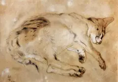 Chat couché by Tsuguharo Léonard Foujita, Encre de chine, lavis et rehauts de gouache, sold May 2012