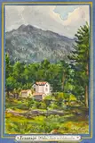 Frascajo, Forêt de Valdoniello by Mathieu Corizzi, Aquarelle sur papier, sold Jun 2022