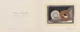 Composition Dora Vallier P. 301 by Georges Braque, Lithographie en couleurs tirée sur papier calque, sold May 2022