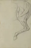 Écorché, jambe postérieure gauche de cheval by Eugène Delacroix, Crayon noir, au verso deux silhouettes de figure au crayon noir et un félin au pinceau lav, sold May 2022