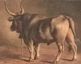 Un taureau by Léopold Robert, Aquarelle, sold Jun 2020
