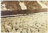 AUGUSTE-ROSALIE BISSON (1826-1900) Glacier du Lauter-Aar, Alpes, Tiré par Bisson frères à Paris la même année by Louis-Auguste Bisson, Épreuve albuminée d'après négatif verre au collodion, sold Dec 2011