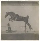 Saut du cheval I, Station physiologique, 1894-1897 Tiré à la station by Étienne-Jules Marey, Épreuve argentique montée sur papier épais, agrandissement d'un film chronophotographique, sold Dec 2011