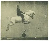 Saut à cheval, Station physiologique, 1894 Tiré à la station by Étienne-Jules Marey, Épreuve argentique montée sur papier épais, rehaussée au crayon, sold Dec 2011