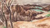 Environs de St-Tropez by André Dunoyer de Segonzac, Aquarelle, plume et encre de Chine, sold Jun 2019