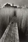 The Black House East-Hampton“, New York by Jeanloup Sieff, 1965, Späterer Silbergelatineabzug, sold Jan 2024