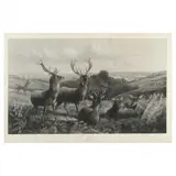 Evening in the Highlands by Antique Monumental British Engraving, Engraving, sold Jul 2022