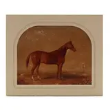 Portrait of the Racehorse Boston by Edward Troye, Being an 1860s sepia albumen photograph of Troye's original 1839 painting, sold Jun 2022