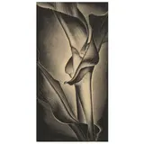 Growing Corn by Paul Landacre, Wood engraving on Japan paper, sold Jun 2022