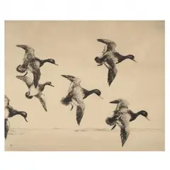 Incoming Redheads by Roland Clark, Etching, sold Jun 2022