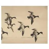 Incoming Redheads by Roland Clark, Etching, sold Jun 2022