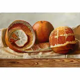 Peeled Orange by Ellery Gutierrez, 2018, oil on canvas, sold Nov 2025