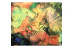 Untitled by Matt Collishaw, print, offered Mar 2021