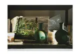 Untitled by Wolfgang Tillmans, lithograph, offered Mar 2021