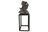Untitled by Alex Hoda, sculpture, offered Mar 2021