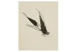 Untitled by Prunella Clough, ink, offered Feb 2021