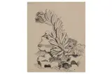 R.a. (1893–1977) by John Nash, ink and watercolour, offered Feb 2021