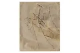 Untitled by Prunella Clough, ink and watercolour, offered Feb 2021