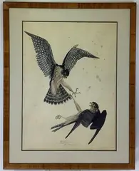 Pigeon Hawks Two Females by Carroll Sargent Jr Tyson, Color lithograph, sold Apr 2021