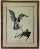Pigeon Hawks Two Females by Carroll Sargent Jr Tyson, Color lithograph, sold Apr 2021