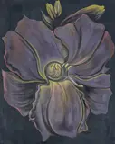 Nocturnal Lily by Lowell Nesbitt, 1981, oil on canvas (unstretched), sold Jan 2023