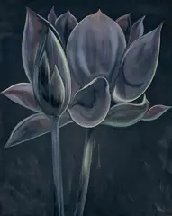 Nocturnal Lotus by Lowell Nesbitt, 1981, oil on canvas (unstretched), sold Jan 2023
