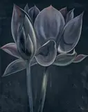 Nocturnal Lotus by Lowell Nesbitt, 1981, oil on canvas (unstretched), sold Jan 2023