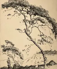 Sentinel Pines by Alfred Heber Hutty, 1936, etching, sold Jan 2023