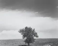 Pawnee National Grassland, Colorado by Robert Adams, 1984; this example p, gelatin silver print, sold Feb 2023