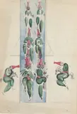 Le défilé (étude de costumes pour le ballet "Zhirofle-Zhiroflya") by Georgy Yakulov, Aquarelle sur trait de crayon noir, sold May 2022