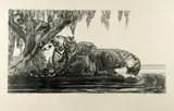 Tigres s'abreuvant by Paul Jouve, Lithographie originale, sold Dec 2019