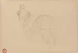 Cheval Au verso Etude by Henri de Toulouse-Lautrec, Crayon sur papier, sold Jun 2011