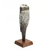 Dreaming Owl by Hib Sabin, Cast bronze, sold May 2022