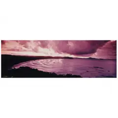Panoramic Oceanscape with Cove by Peter Lik, C-print, sold Apr 2022