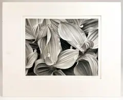 Untitled by John Sexton, Silver Gelatin Photo Print, offered Jan 2023