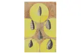 R.a. (1899–1991) by Eileen Agar, ink and watercolour, offered Feb 2021