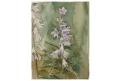 Untitled by Anna Adams, watercolour, offered Feb 2021