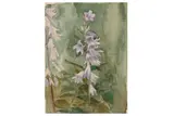 Untitled by Anna Adams, watercolour, offered Feb 2021