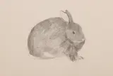 Untitled by Tessa Newcomb, pencil, offered Feb 2021