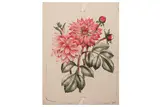 Untitled by William Frederick Colley, lithograph, offered Feb 2021
