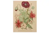 R.a. (1893-1977) by John Nash, lithograph, offered Feb 2021