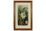 Untitled by Raymond C. Booth, oil on board, offered Feb 2021