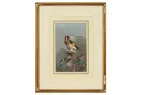 Untitled by John Cyril Harrison, watercolour, offered Feb 2021
