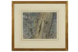 Untitled by George Edward Lodge, print (other), offered Feb 2021