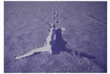 Untitled by Antony Gormley, lithograph, offered Dec 2020