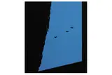 R.a. (1936-2005) by Patrick Caulfield, screenprint, offered Dec 2020