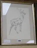 Stag sniffing breeze, Abbott & Holder label verso, 27 x 20cm by Charles Tunnicliffe, pencil, sold Jun 2018