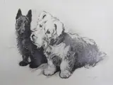 Black and white terriers by Cecil Aldin, ink, sold May 2018