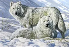 Lords of the Arctic' signed, inscribed verso 20 x 29.5in by Stephen Gayford, oil on canvas board, sold Mar 2018