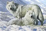 Lords of the Arctic' signed, inscribed verso 20 x 29.5in by Stephen Gayford, oil on canvas board, sold Mar 2018